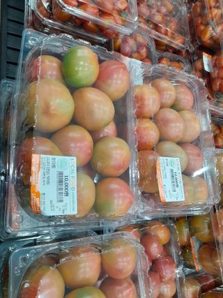 김평식님의 내 농사 경력 자랑하기 · 참여 작성글 사진