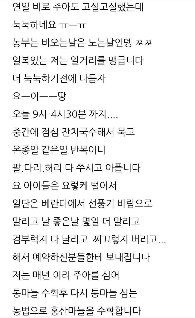 삼성농산님의 장터 판매 상품 [(마감)홍산마늘주아 종이3컵 2만냥] 첨부 사진