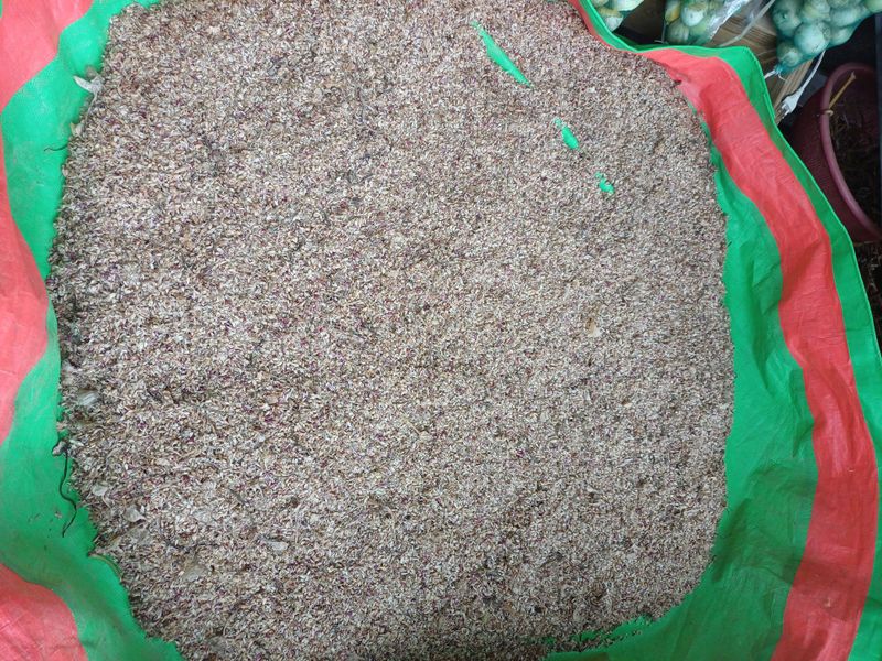 삼성농산님의 장터 판매 상품 [(마감)홍산마늘주아 종이3컵 2만냥] 첨부 사진