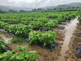 HYUN님의 참깨 · 자유게시판 작성글 사진