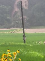 팜모닝 사과·일상 게시글 이미지