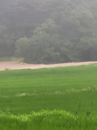 산신님의 사과 · 일상 작성글 사진