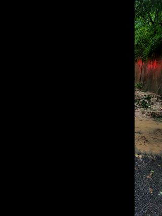 산신님의 사과 · 일상 작성글 사진