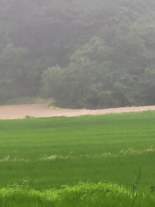 산신님의 사과 · 일상 작성글 사진