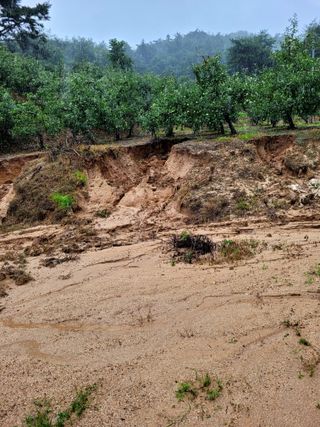 산신님의 사과 · 일상 작성글 사진