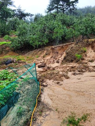 산신님의 사과 · 일상 작성글 사진