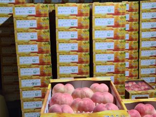 박창수님의 내 농사 경력 자랑하기 · 참여 작성글 사진