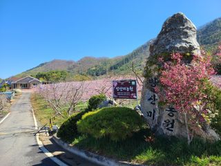 박창수님의 내 농사 경력 자랑하기 · 참여 작성글 사진