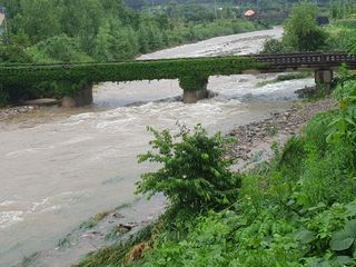 알 수 없음님의 우리동네 · 동네수다 작성글 사진
