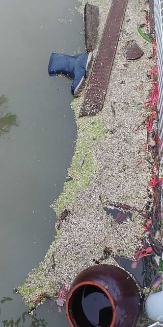 처마밑에추녀님의 우리동네 · 동네수다 작성글 사진