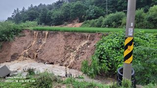 김동철님의 벼 · 자유게시판 작성글 사진