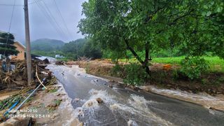 김동철님의 벼 · 자유게시판 작성글 사진