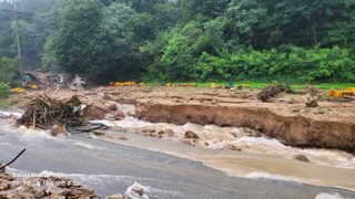 김동철님의 벼 · 자유게시판 작성글 사진