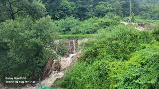 김동철님의 벼 · 자유게시판 작성글 사진