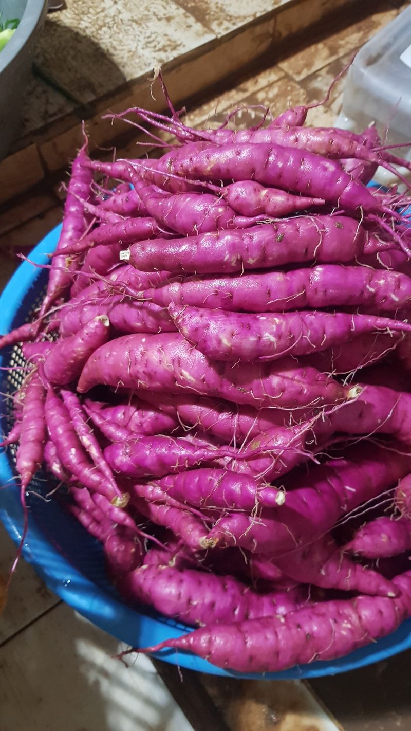 장터 상품 [고구마 5kg] 썸네일