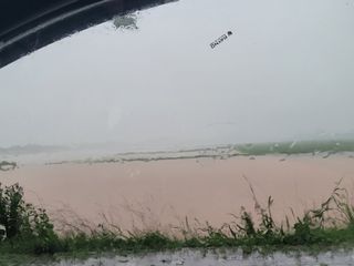 고구마전미연님의 벼 · 자유게시판 작성글 사진