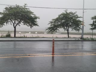 고구마전미연님의 벼 · 자유게시판 작성글 사진