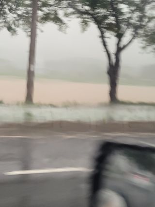 고구마전미연님의 벼 · 자유게시판 작성글 사진