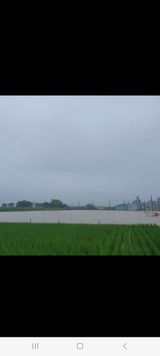 팜모닝 벼·자유게시판 게시글 이미지