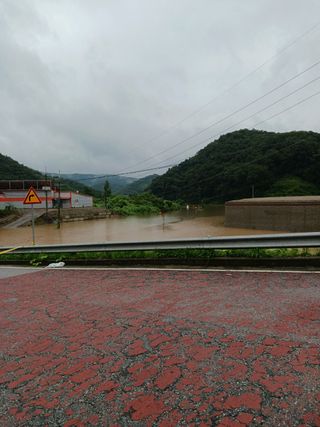 오숙님의 콩 · 자유게시판 작성글 사진