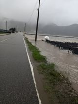 팜모닝 참깨·자유게시판 게시글 이미지