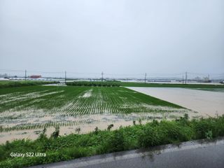 약초원 김종군님의 우리동네 · 동네정보 작성글 사진