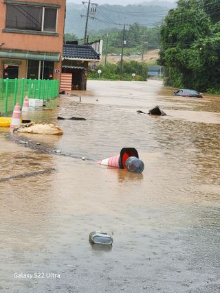 약초원 김종군님의 우리동네 · 동네정보 작성글 사진