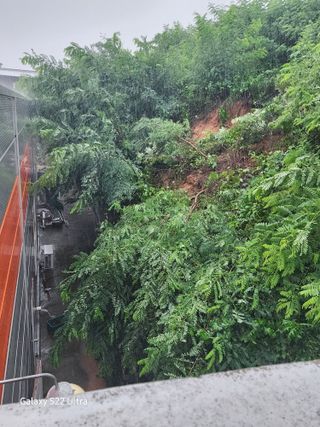 약초원 김종군님의 우리동네 · 동네정보 작성글 사진