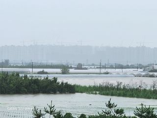 약초원 김종군님의 우리동네 · 동네정보 작성글 사진