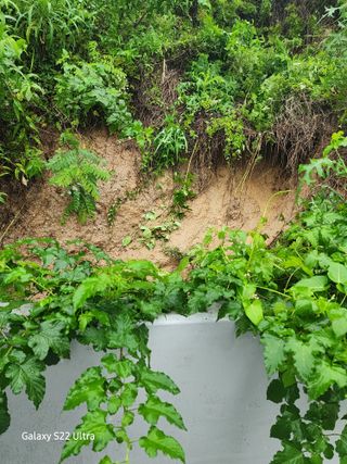 약초원 김종군님의 우리동네 · 동네정보 작성글 사진