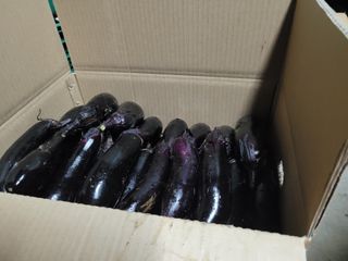 안병윤 님의 내 농사 경력 자랑하기 · 참여 작성글 사진