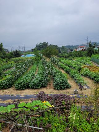 (어울림)님의 우리동네 · 동네정보 작성글 사진