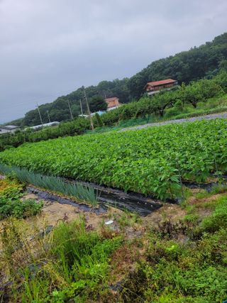 (어울림)님의 우리동네 · 동네정보 작성글 사진