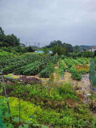 (어울림)님의 우리동네 · 동네정보 작성글 사진