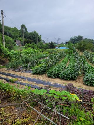 (어울림)님의 우리동네 · 동네정보 작성글 사진