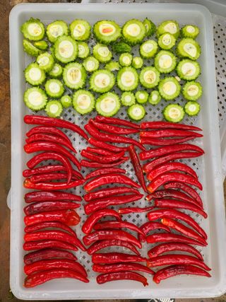 체리123님의 기타작물 · 자유게시판 작성글 사진