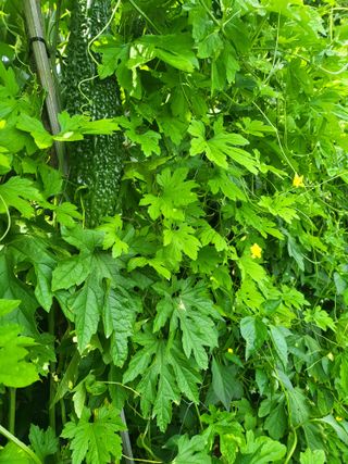 체리123님의 기타작물 · 자유게시판 작성글 사진