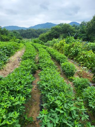 이서울비님의 자유주제 · 자유게시판 작성글 사진