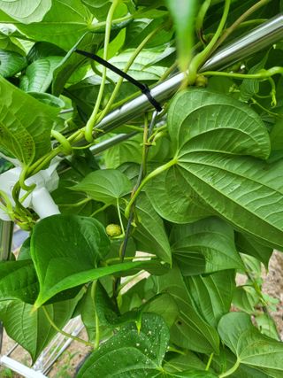 이서울비님의 자유주제 · 자유게시판 작성글 사진