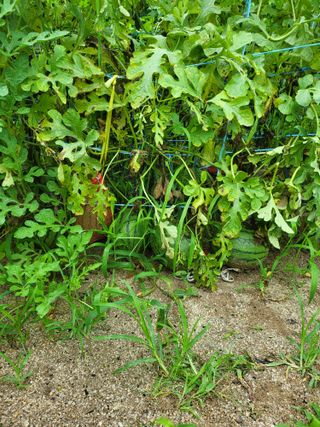 이서울비님의 자유주제 · 자유게시판 작성글 사진