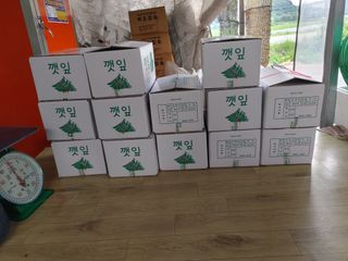 윤재하님의 내 농사 경력 자랑하기 · 참여 작성글 사진