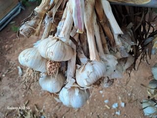 이순애님의 작성글 사진