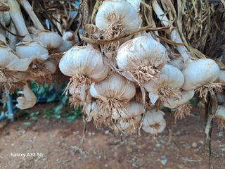이순애님의 작성글 사진