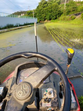함양안의면당산길45님의 내 농사 경력 자랑하기 · 참여 작성글 사진