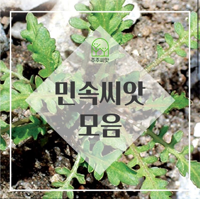 장터 상품 [민속씨앗 60종 모음전] 썸네일