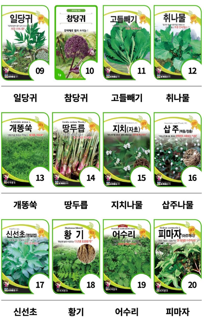 주주씨앗님의 장터 판매 상품 [민속씨앗 60종 모음전] 첨부 사진
