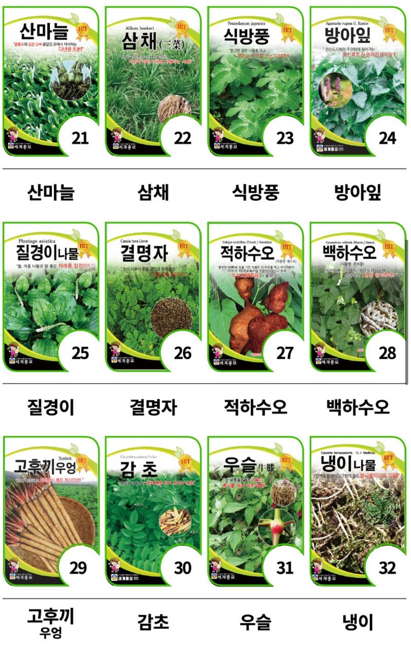 주주씨앗님의 장터 판매 상품 [민속씨앗 60종 모음전] 첨부 사진