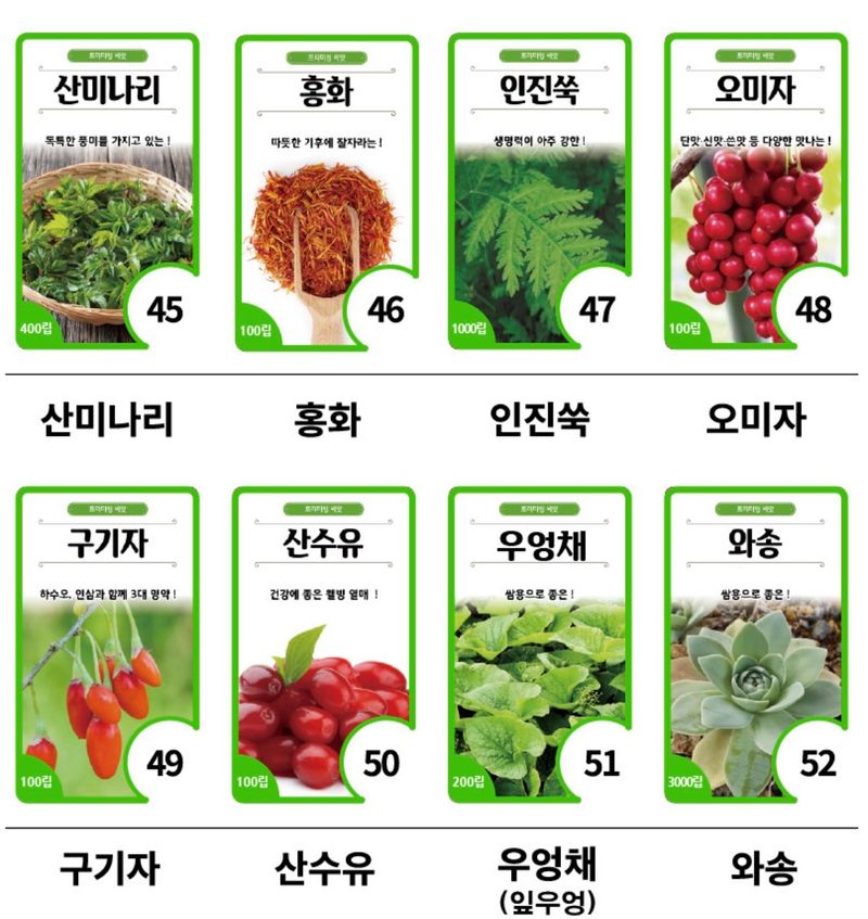 주주씨앗님의 장터 판매 상품 [민속씨앗 60종 모음전] 첨부 사진