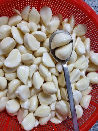 신현주님의 마늘 · 수확 작성글 사진