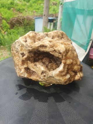 인생은 소풍처럼님의 사과 · 일상 작성글 사진